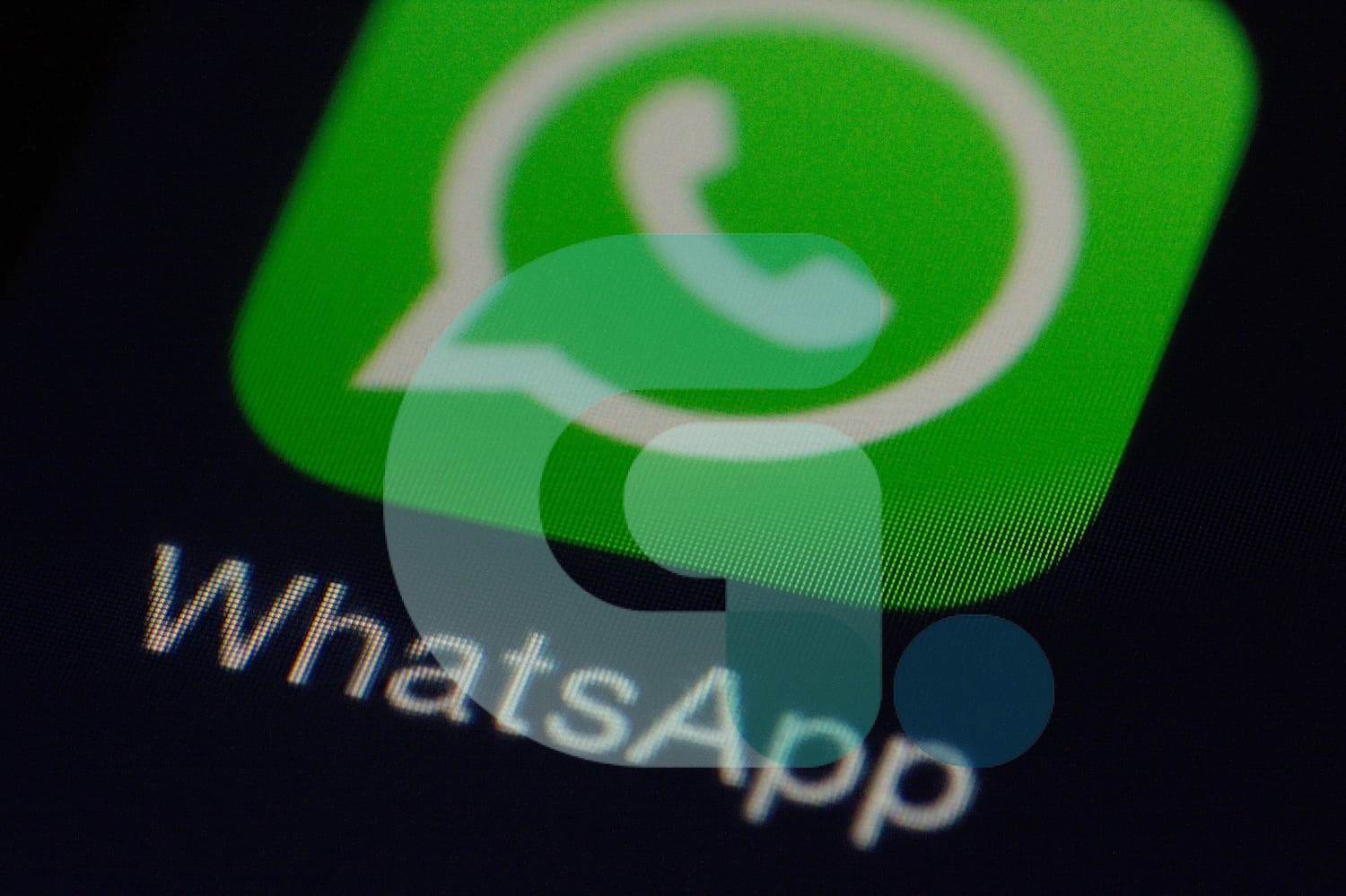iOS et Android : comment sauvegarder les photos sur l’appli WhatsApp ?