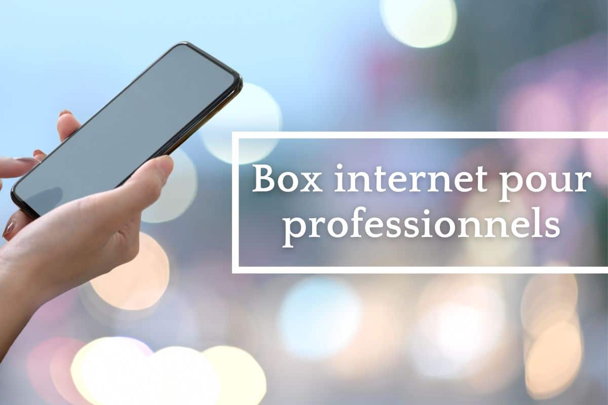 Quelle box internet professionnel choisir pour votre entreprise ?