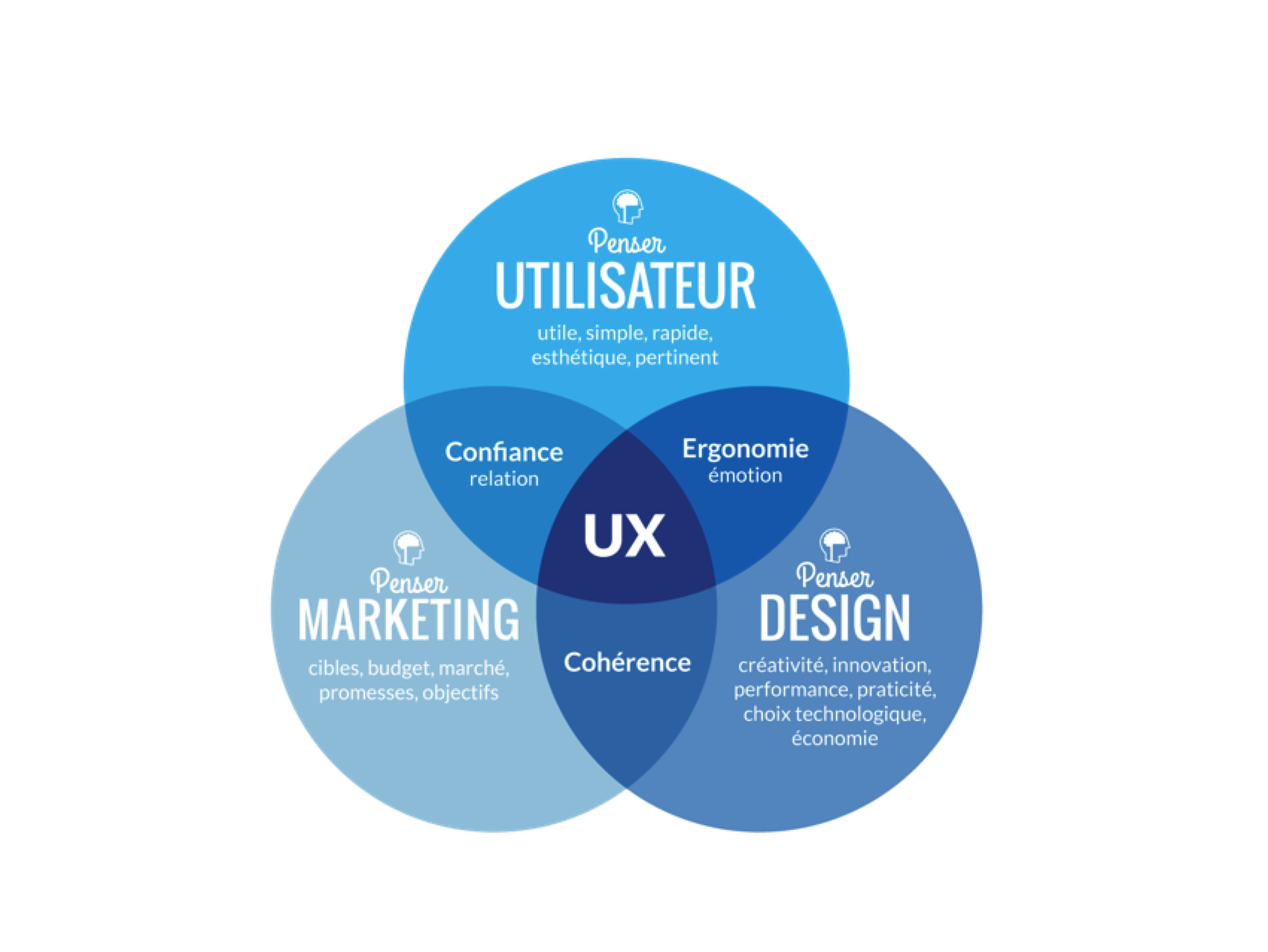 Le Citizen Development : Comment les utilisateurs deviennent les créateurs de demain